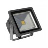 Reflector Led 30W 5