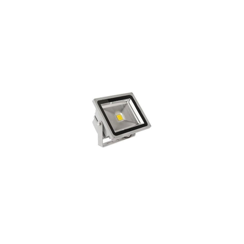 Reflector Led 10W 5