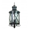 Lampara colgante San Luis 2 luces Negro