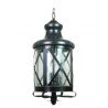 Lampara colgante San Luis 2 luces Negro