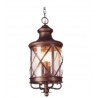 Lampara colgante San Luis 2 luces Cafe